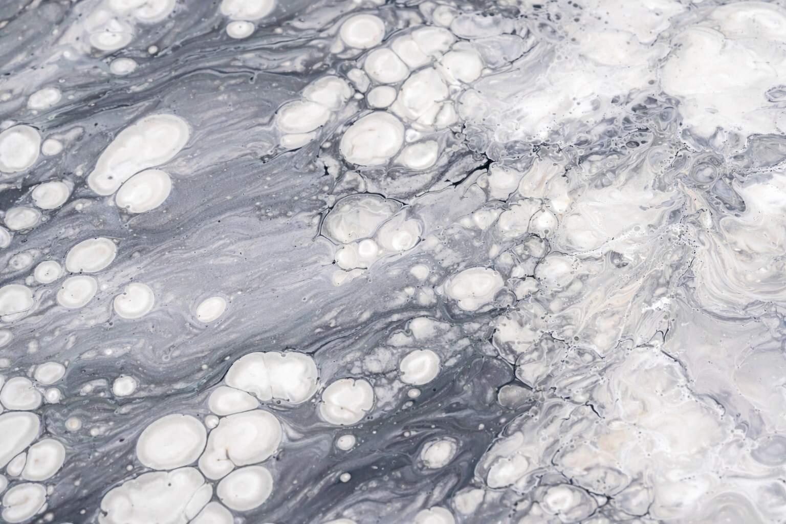 VERSE platform mockup