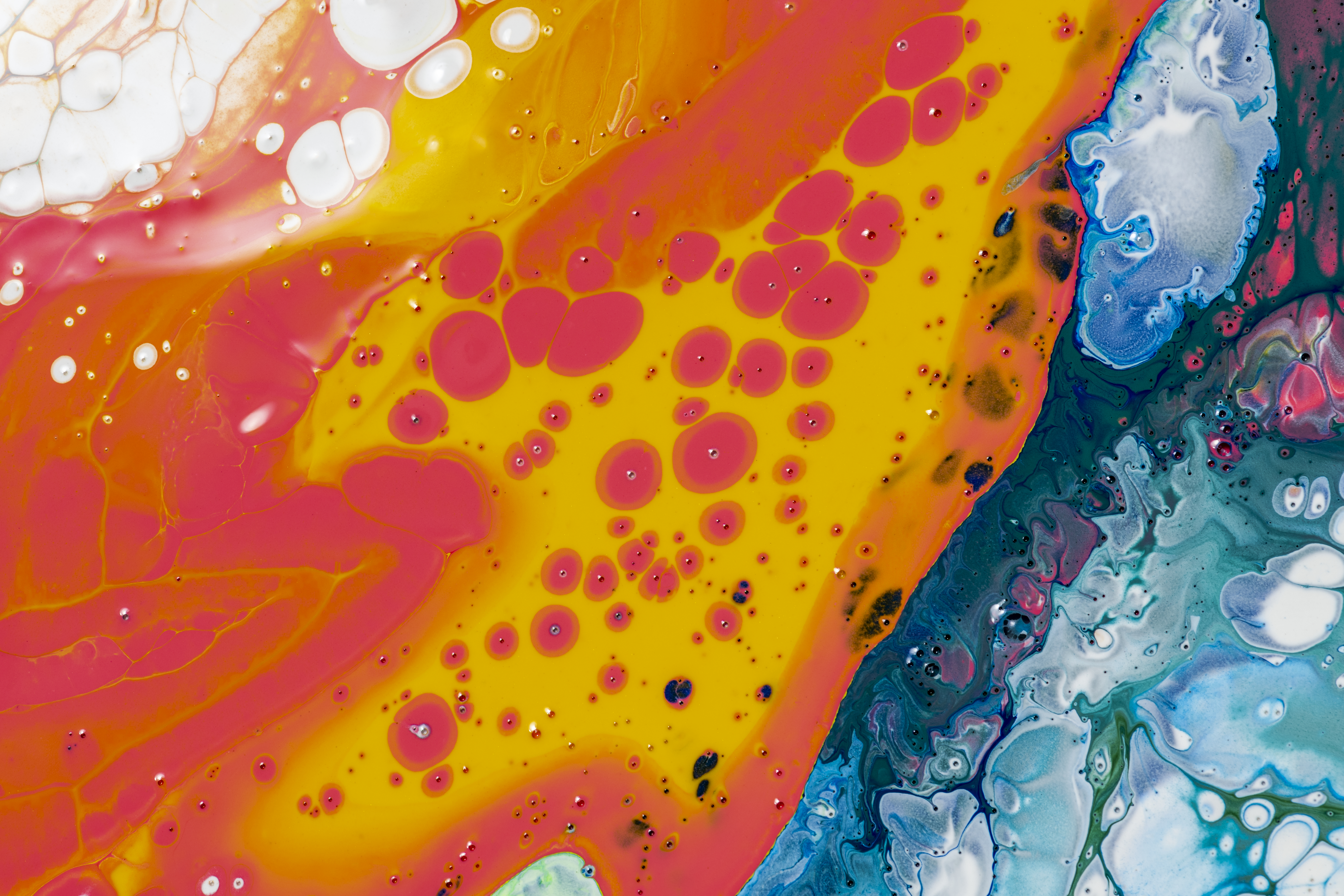 ZenkAI website preview